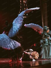 Спектакль "Тайна двенадцати лебедей"