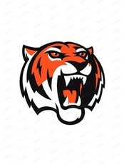 МХК "Амурские Тигры" (Хабаровск) - МХК "Динамо СПБ" (Санкт-Петербург)