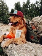 Треккинг тур на Корфовский + Спартак (сборная группа)