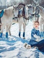 Прогулка в санях с запряжённой лошадью