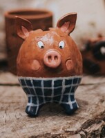 Мастер-класс по ручной лепке из глины "Копилка-хрюшка"