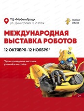 Выставка роботов и современных технологий "Робопарк"