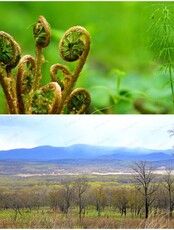 Поход на гору Дубовая