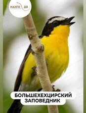 Тур выходного дня: экскурсия по Большехехцирскому заповеднику