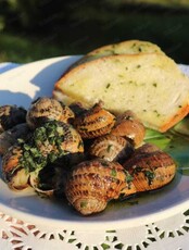 Гастротур на улиточную эко-ферму