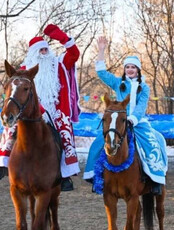 Зимнее конное шоу "Новогодний галоп"