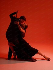 Аргентинское танго. Базовый курс