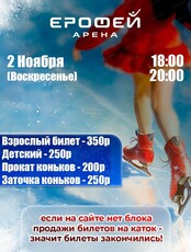 Катание на коньках в Арене "Ерофей"