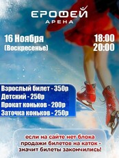 Катание на коньках в Арене "Ерофей"