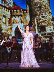 Гала-концерт "Сказки венского леса" (НА СЦЕНЕ ДК ПРОФСОЮЗОВ)