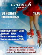 Катание на коньках в Арене "Ерофей"