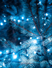 Новогодние корпоративы в ресторане "Три грузина"