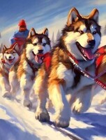 Катание на собачьих упряжках "Хаски не на Аляске" (для сборных и организованных групп)