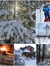 Прогулки по Киинскому лесу