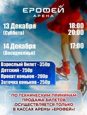 Катание на коньках в Арене "Ерофей"