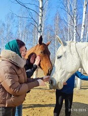 Игого-тур на частную конюшню