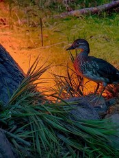 Обзорные экскурсии по "Лабиринтам Подземья"