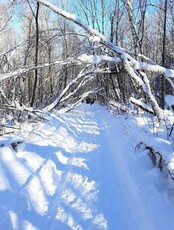 Поход на Хехцир "Таежная тропа"