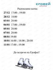 Катание на коньках в Арене "Ерофей"