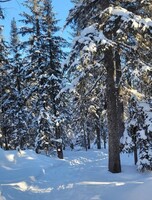 Прогулка для новичков на Черничную гору