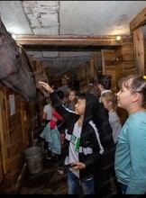 Экскурсия в конный клуб "Зевс"