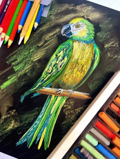 Проект "Юный художник". Мастер-класс "Попугайчик"