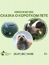 Кино в музее: сказка о коротком лете