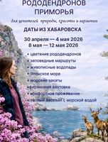 Весенний тур "Цветение рододендронов"