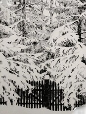 Мастер-класс "Снег в черно-белой графике"