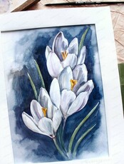 Мастер-класс по живописи акварелью "Нежные тюльпаны"