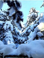 Экскурсия в Большехехцирский заповедник. Тропа "Заповедный Хехцир"