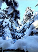 Экскурсия в Большехехцирский заповедник. Тропа "Заповедный Хехцир"