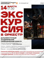 ДВАСО. Экскурсия в оркестр