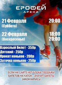 Катание на коньках в Арене "Ерофей"