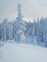 Снегоходная экскурсия на смотровые площадки Мяо-Чана