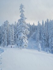 Снегоходная экскурсия на смотровые площадки Мяо-Чана