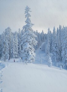 Снегоходная экскурсия на смотровые площадки Мяо-Чана