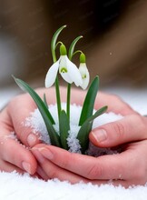 Встреча "Проснись с весной"