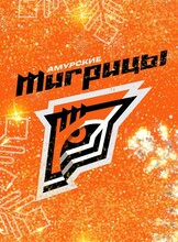 Чемпионат России по волейболу среди женских команд Высшая лига "А". Матч "Амурские тигрицы"-"Атом-Курск"