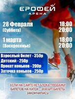 Катание на коньках в Арене "Ерофей"