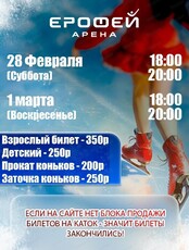 Катание на коньках в Арене "Ерофей"