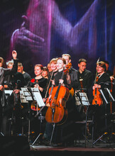 Камерный вечер изысканной музыки (В ДВХМ)