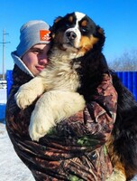 Тур-обнимашка + катание на собачьих упряжках