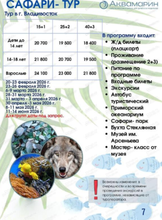 Сафари-тур во Владивосток