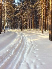 Тур в Петропавловку