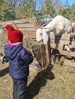 Поездка на контактную ферму