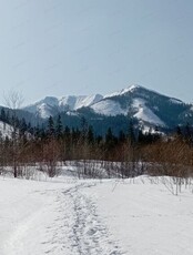 Поход на гору Таунга