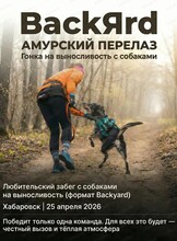 Гонка на выносливость с собаками "Амурский Перелаз"