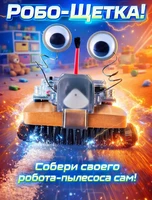 Мастер-класс "Робощетка"