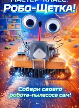Мастер-класс "Робощетка"